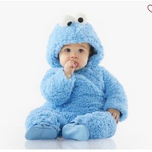 Pottery barn Cookie Monster costume